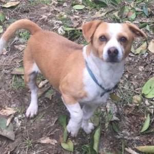 Meet your Posher, Minerva